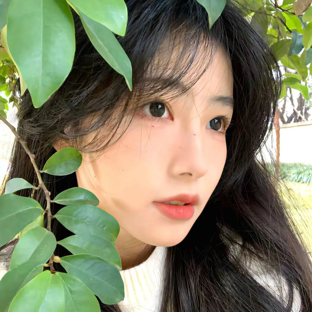 老虎的故事